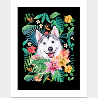 Tropical Siberian Husky 7 Posters and Art